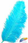 23-26" Ostrich Plumes