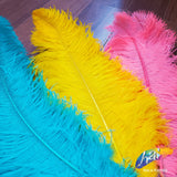 23-26" Ostrich Plumes