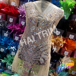 Crystal AB/Nude Mesh Beaded Rhinestone Dress Bodice Applique, BRD-02 AB