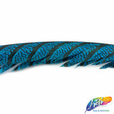 30-35” Natural Dyed Zebra Pheasant Tails