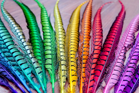 Feather Collection - consists of different feather types in various colors. Feather types include coque fringe, goose fringe, turkey quills, lady amherst, zebra pheasant tails, ostrich plumes, feather boas, and more.
