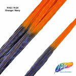 18-22" 2-tone Bleached Dyed Ringneck Pheasant Tails