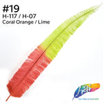 18-20" Two Tone Bleached Dyed Ostrich Nandu