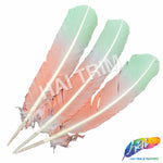 10-12" 2-tone Turkey Quills (Sold Per Piece) - ONE SIDE ONLY