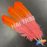 10-12" 2-tone Turkey Quills (Sold Per Piece) - ONE SIDE ONLY