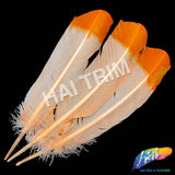 10-12" 2-tone Turkey Quills (Sold Per Piece) - ONE SIDE ONLY