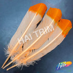 10-12" 2-tone Turkey Quills (Sold Per Piece) - ONE SIDE ONLY