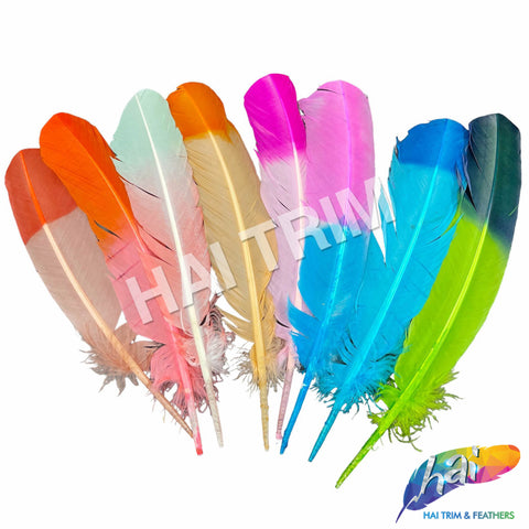 10-12" 2-tone Turkey Quills (Sold Per Piece) - ONE SIDE ONLY