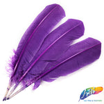 10-12" Turkey Quills (Sold Per Piece)
