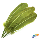 10-12" Turkey Quills (Sold Per Piece)