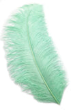 23-26" Ostrich Plumes