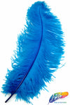 23-26" Ostrich Plumes