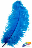 23-26" Ostrich Plumes