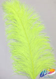 23-26" Ostrich Plumes