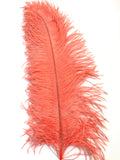 18-22" Ostrich Plumes
