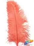 23-26" Ostrich Plumes