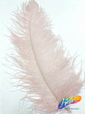 23-26" Ostrich Plumes