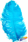 23-26" Ostrich Plumes