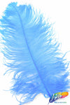 23-26" Ostrich Plumes