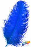 23-26" Ostrich Plumes