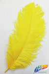 23-26" Ostrich Plumes