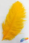 23-26" Ostrich Plumes