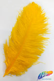 23-26" Ostrich Plumes