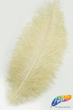 18-22" Ostrich Plumes