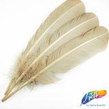 10-12" Turkey Quills (sold per piece)