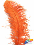 23-26" Ostrich Plumes