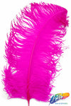 23-26" Ostrich Plumes