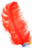 23-26" Ostrich Plumes