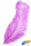 23-26" Ostrich Plumes