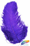 23-26" Ostrich Plumes