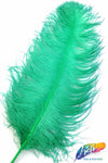 23-26" Ostrich Plumes