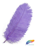 18-22" Ostrich Plumes