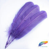10-12" Turkey Quills (sold per piece)