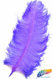 23-26" Ostrich Plumes