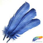 10-12" Turkey Quills (Sold Per Piece)