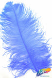 23-26" Ostrich Plumes