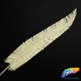 18-20" Bleached Dyed Ostrich Nandu (sold per piece)