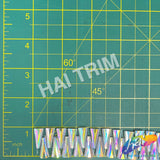 1" Clear AB Cone Beaded Iron On Trim, IRT-219