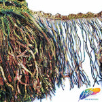 6" Sequins Fringe with Clustered Sequins Bias Tape, SEQ-002