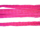 18-20" Bleached Dyed Ringneck Pheasant Tails