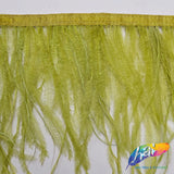 4-6" Ostrich Fringe (1-ply)