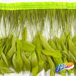 6-8" Stripped Coque Fringe (1/2 Yard)