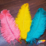 23-26" Ostrich Plumes