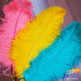 23-26" Ostrich Plumes