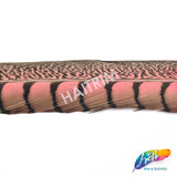 30-35" Natural Dyed Lady Amherst Pheasant Tails (sold per piece)