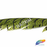 30-35” Natural Dyed Zebra Pheasant Tails (sold per piece)